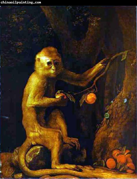 George Stubbs Green Monkey