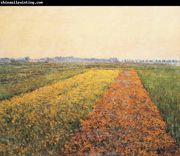 Gustave Caillebotte The Yellow Fields at Gennevilliers