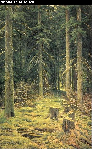 Ivan Shishkin Coniferous Forest