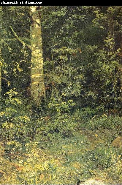 Ivan Shishkin Birch and Pocks