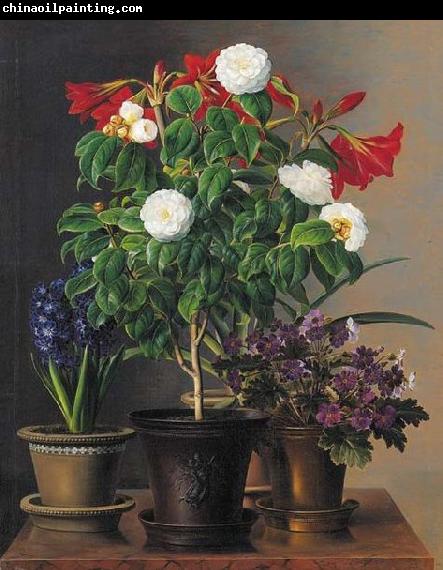 Johan Laurentz Jensen Camelias, amaryllis, hyacinth and violets in ornamental pots on a marble ledge