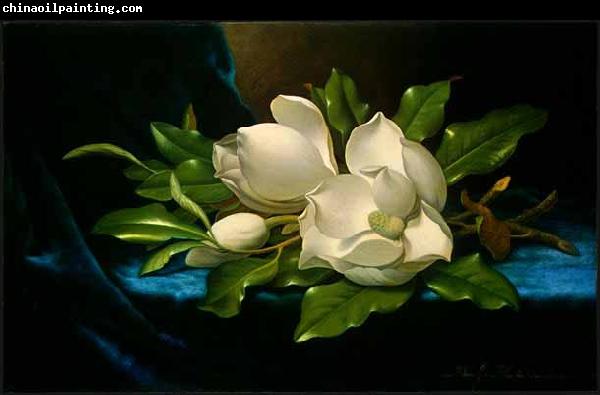 Martin Johnson Heade Giant Magnolias on a Blue Velvet Cloth