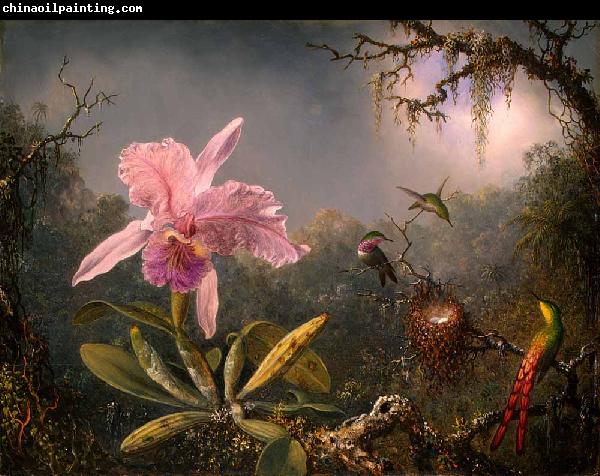 Martin Johnson Heade Cattleya Orchid and Three Hummingbirds