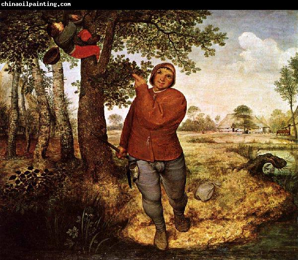 Pieter Bruegel the Elder Peasant and the Nest Robber