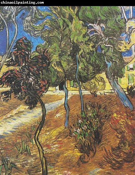 Vincent Van Gogh Trees in the garden of the Hospital Saint-Paul