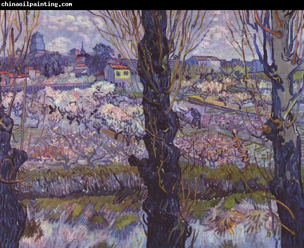 Vincent Van Gogh Flowering Orchards