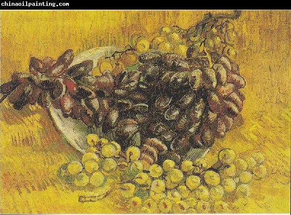 Vincent Van Gogh Still Life with Grapes