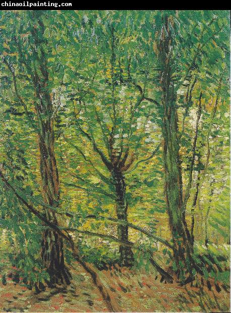 Vincent Van Gogh Trees and Undergrowth