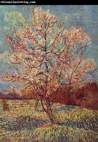 Vincent Van Gogh Bluhender Pfirsischbaum