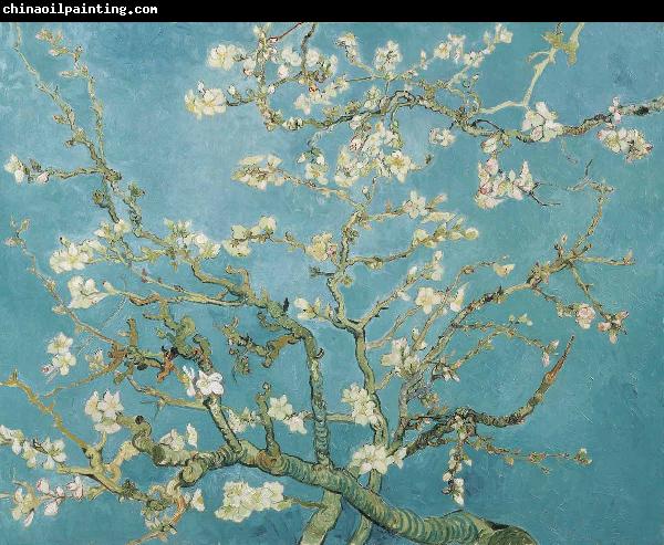 Vincent Van Gogh Almond Blossoms