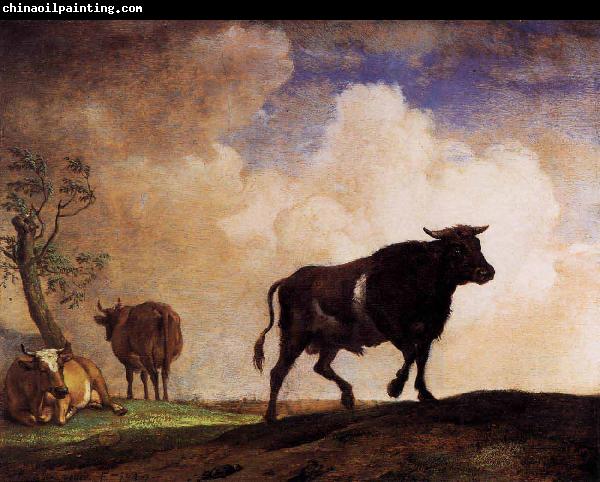 paulus potter The Bull