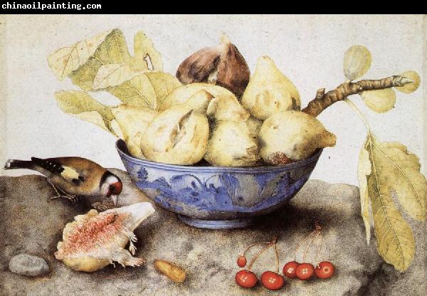 Giovanna Garzoni Chinese Cup with Figs,Cherries and Goldfinch