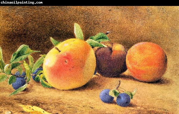 Hill, John William Study of Fruit