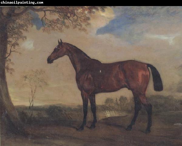 John Ferneley Portrait of a Hunter Mare,The Property of Robert shafto of whitworth park,durham