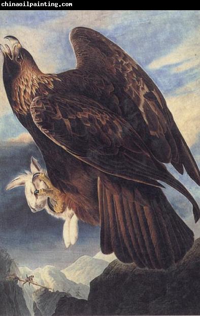 John James Audubon Golden Eagle