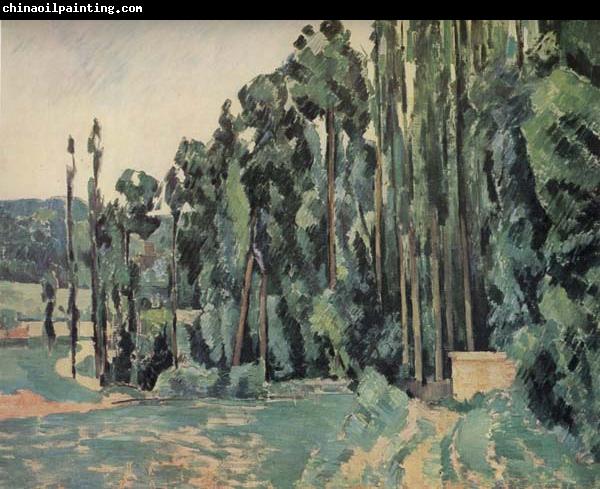 Paul Cezanne The Poplars