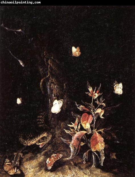 SCHRIECK, Otto Marseus van Reptiles,Butterflies,and Plants at the Base of a Tree