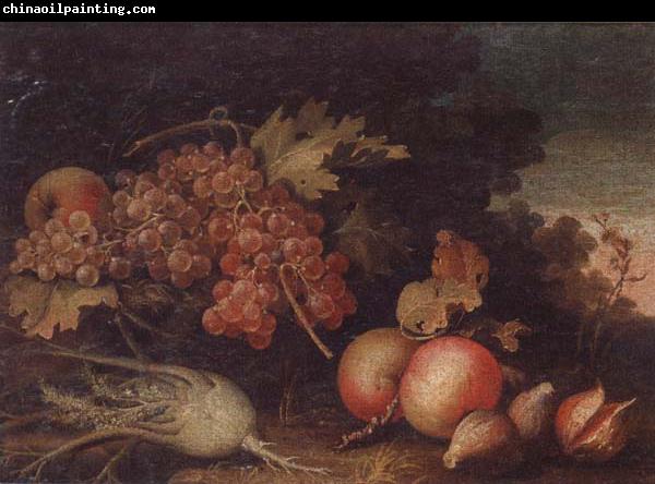 unknow artist Still lifes of Grapes,figs,apples,pears,pomegranates,black currants and fennel,within a landscape setting