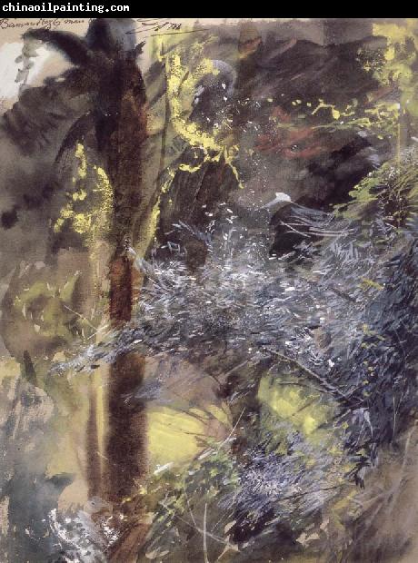 Anders Zorn Unknow work 31