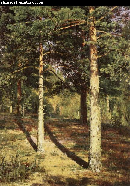 Ivan Shishkin Pine Wood Illuminated by the Sun