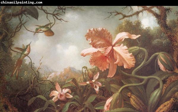 Martin Johnson Heade The Hummingbirds and Two Varieties of Orchids