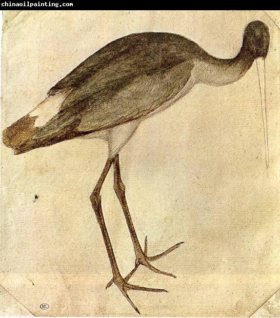 PISANELLO Stork