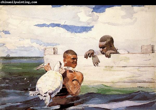 Winslow Homer The Turtle Pound