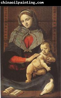 Piero di Cosimo The Virgin and Child with a Dove (mk05)