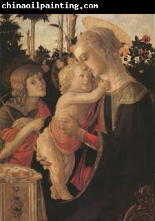 Sandro Botticelli The Virgin and child with John the Baptist (mk05)