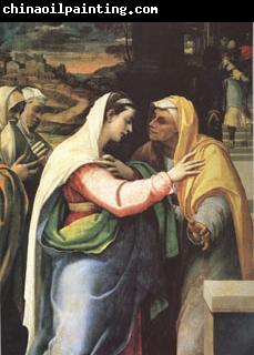 Sebastiano del Piombo The Visitation (mk05)