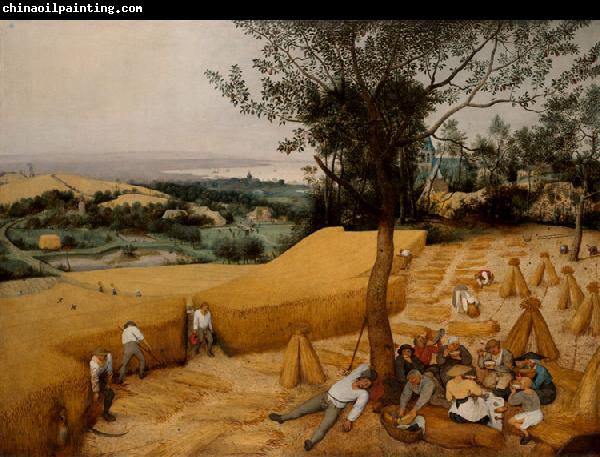 BRUEGEL, Pieter the Elder The Corn Harvest (mk08)