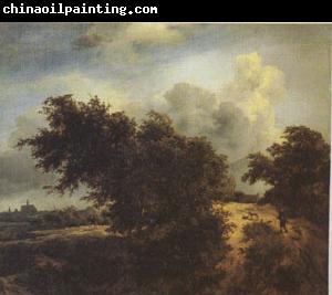 Jacob van Ruisdael The Bush (mk05)