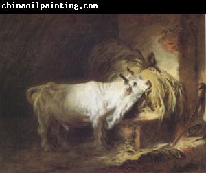 Jean Honore Fragonard The White Bull (mk05)