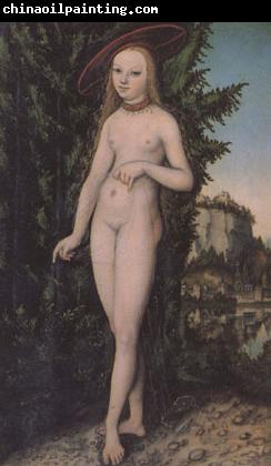 Lucas  Cranach Venus in a Landscape (mk05)