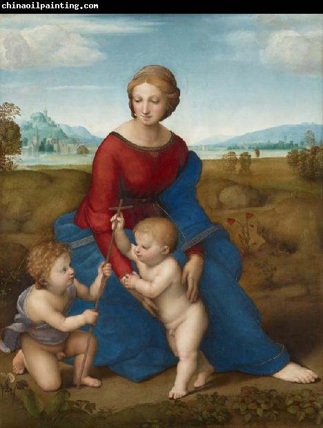 Raphael Madonna of the Meadows (mk08)