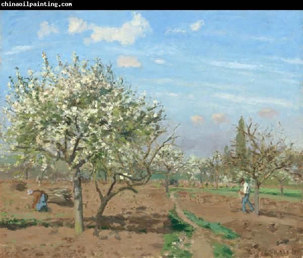 Camille Pissarro Orchard in  Bloom,Louveciennes (nn02)