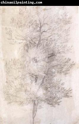 Claude Lorrain A Tree Trunks (mk17)