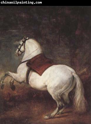 Diego Velazquez A White Horse (df01)