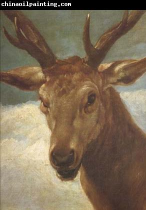 Diego Velazquez Head of a Stag (df01)