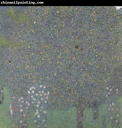 Gustav Klimt Rose Bushes Under the Trees (mk20)