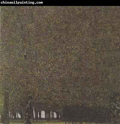 Gustav Klimt The Park (mk20)