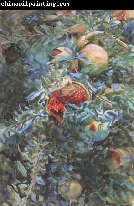 John Singer Sargent Pomegranates (mk18)