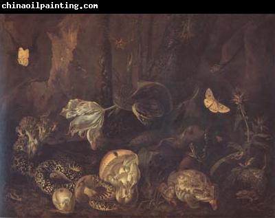 SCHRIECK, Otto Marseus van Still Life with Insects and Amphibians (mk14)