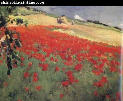 William blair bruce Landscape with Poppies (nn02)