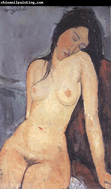 Amedeo Modigliani Seted Nude (mk39)