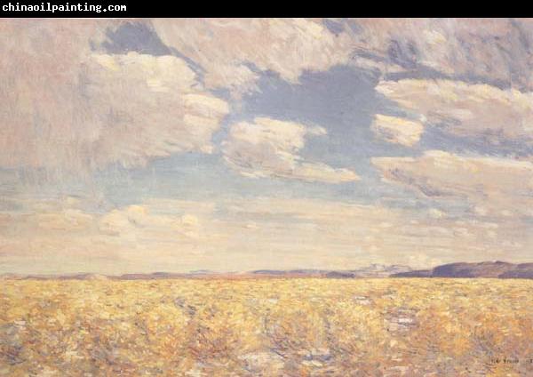 Childe Hassam Afternoon Sky,Harney Desert (mk43)