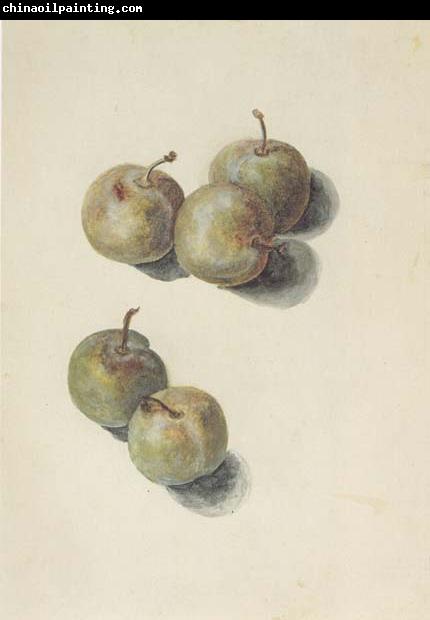 Edouard Manet Etude de cinq prunes (mk40)