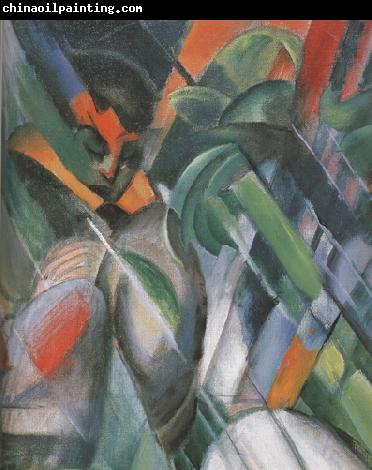 Franz Marc Details of Rain (mk34)