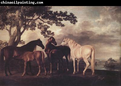 George Stubbs Mares and Foais in a Landscape (nn03)