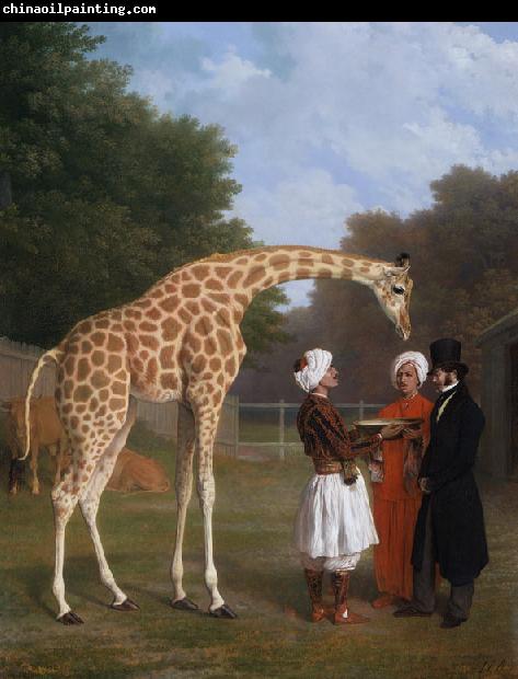 Jacques-Laurent Agasse The Nuian Giraffe (mk25)